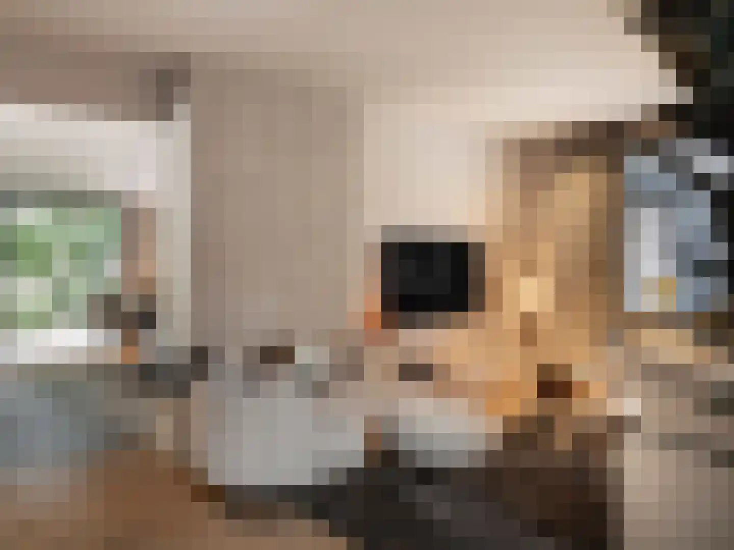 Herdersweg 1 Laren thumbnail 11