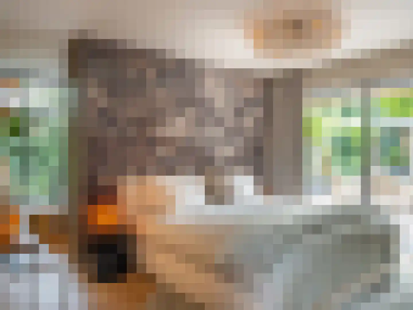Herdersweg 1 Laren thumbnail 14