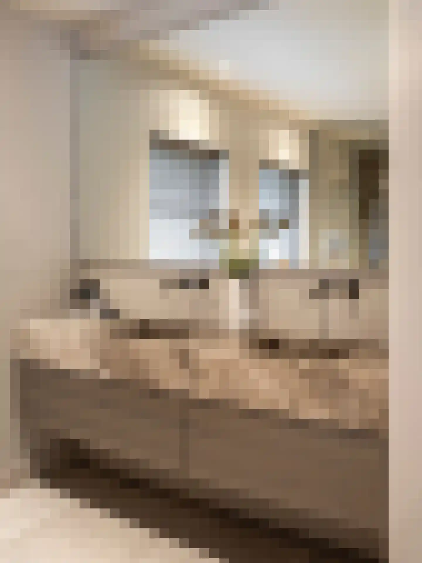 Herdersweg 1 Laren thumbnail 19