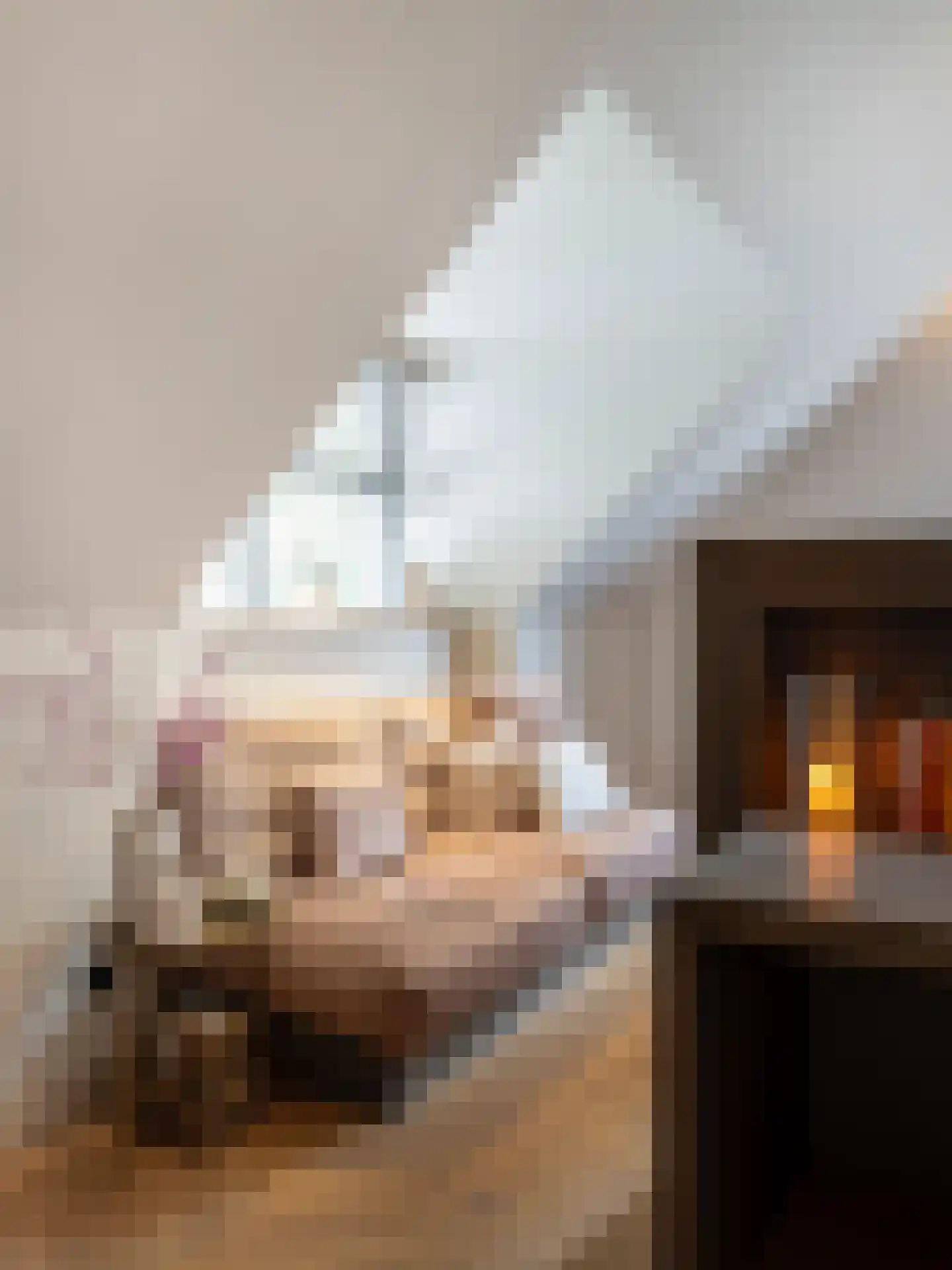 Herdersweg 1 Laren thumbnail 32