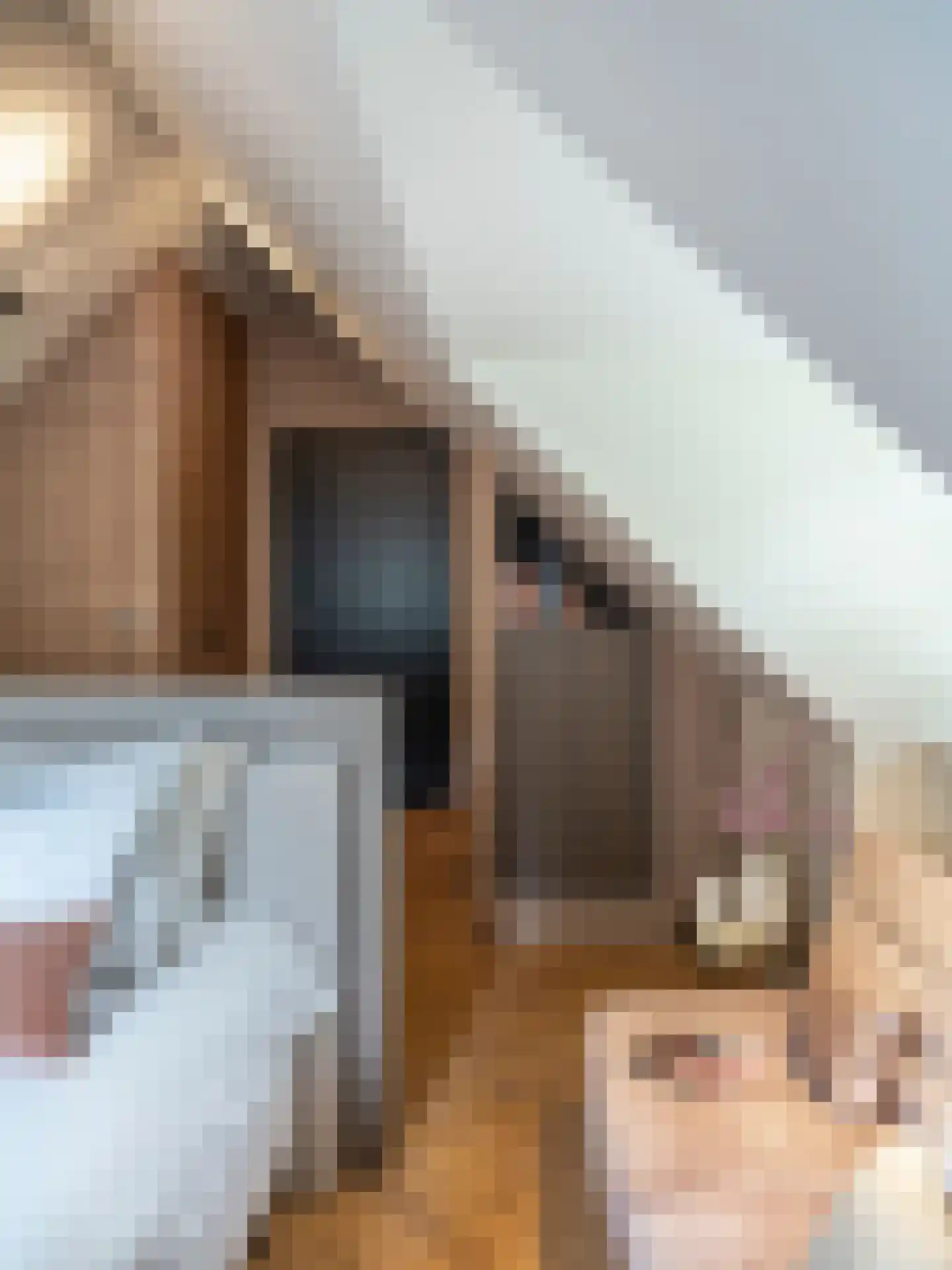 Herdersweg 1 Laren thumbnail 34