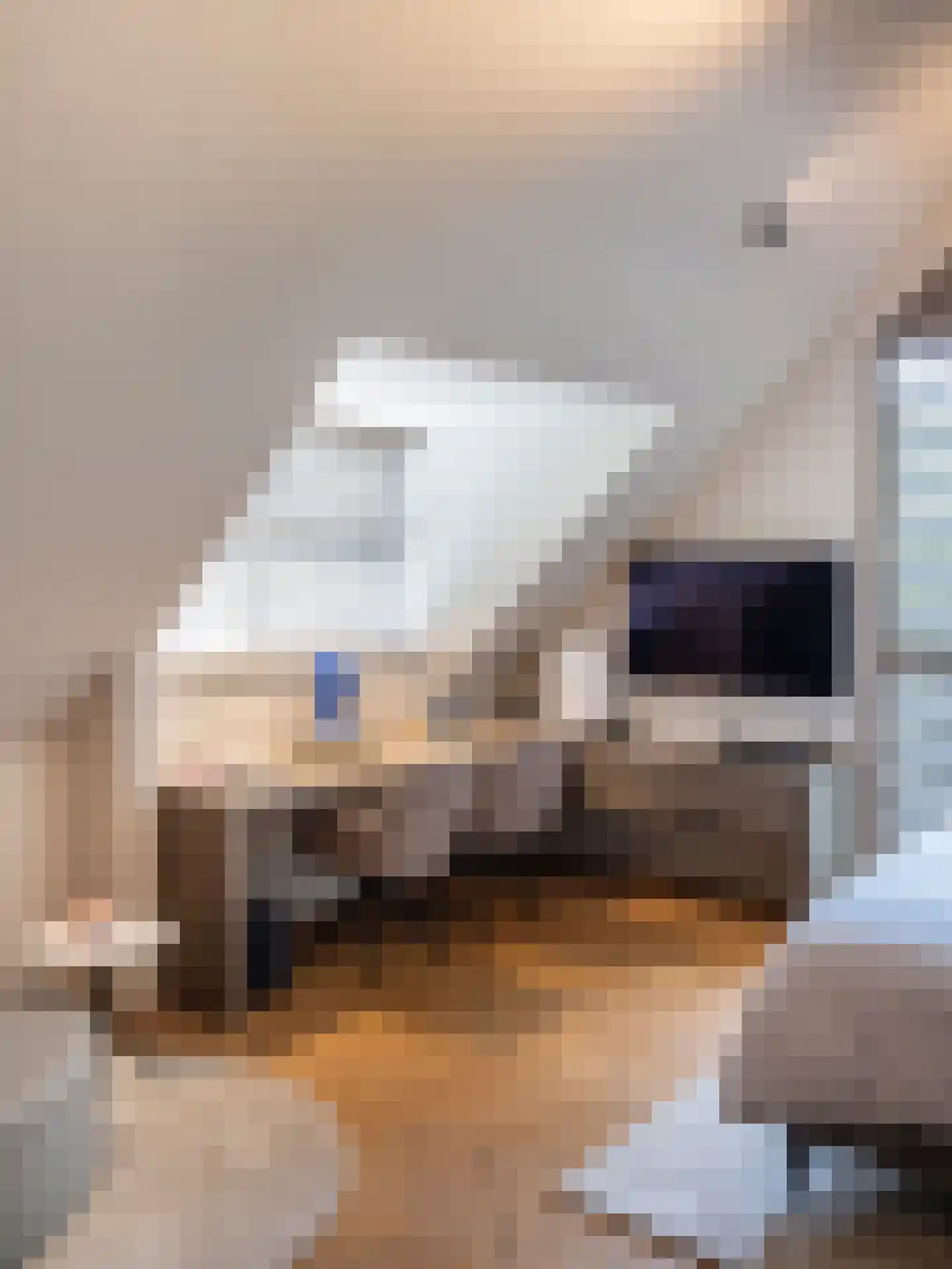 Herdersweg 1 Laren thumbnail 40