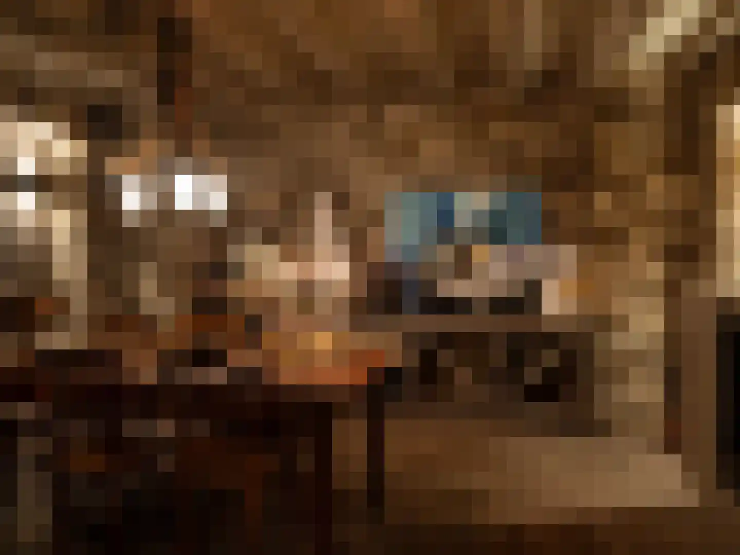 Herdersweg 1 Laren thumbnail 43