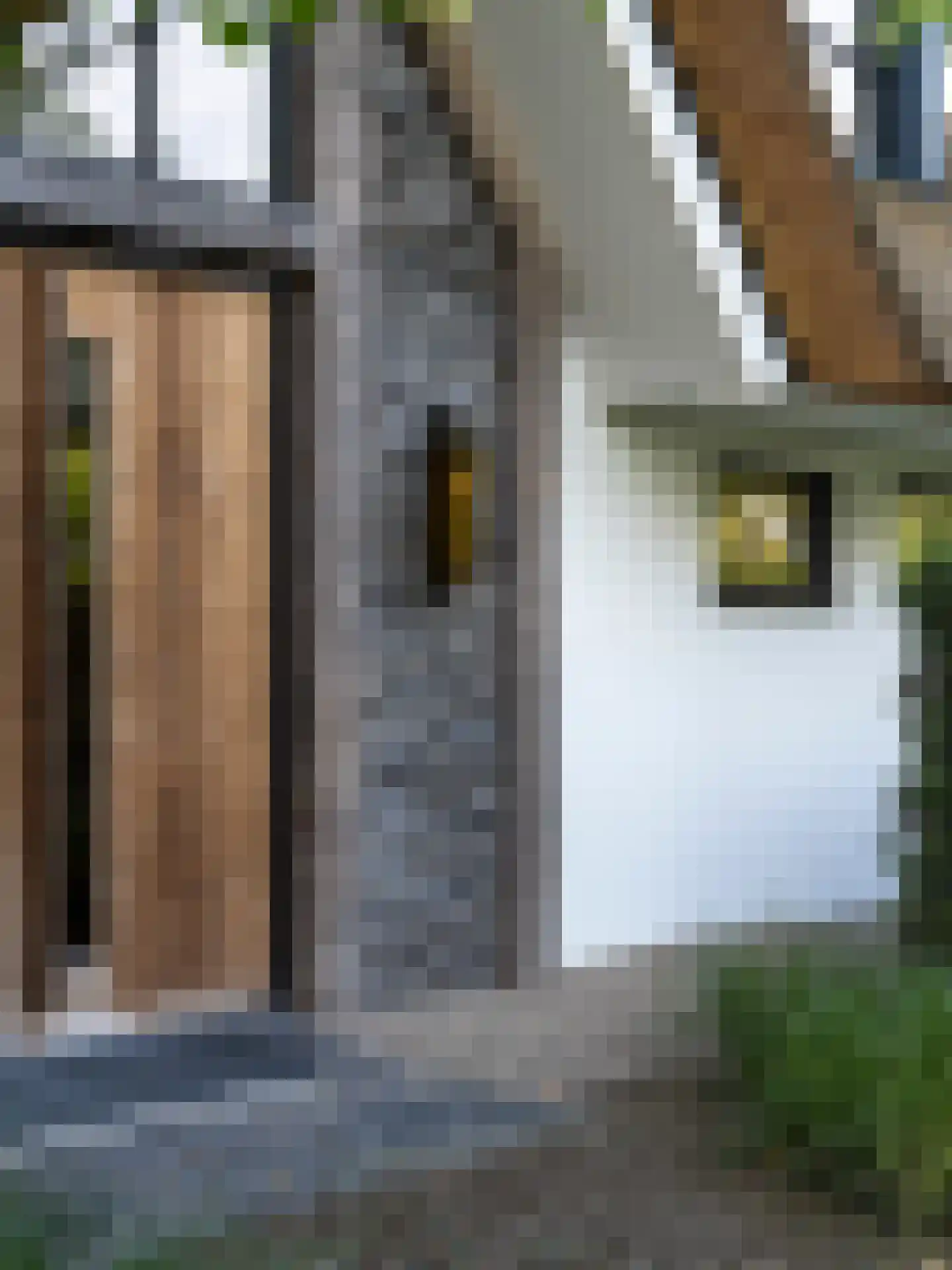 Herdersweg 1 Laren thumbnail 48