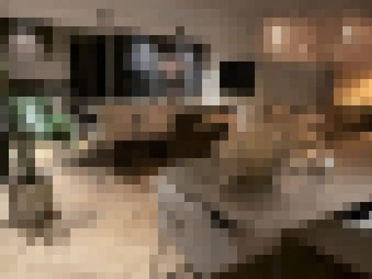 Herdersweg 1 Laren thumbnail 5