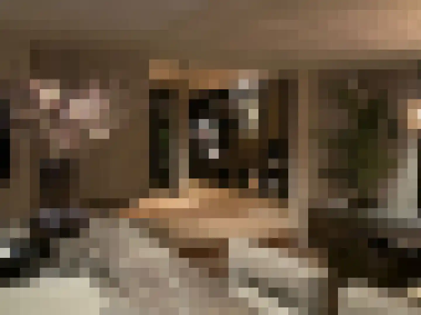 Herdersweg 1 Laren thumbnail 6