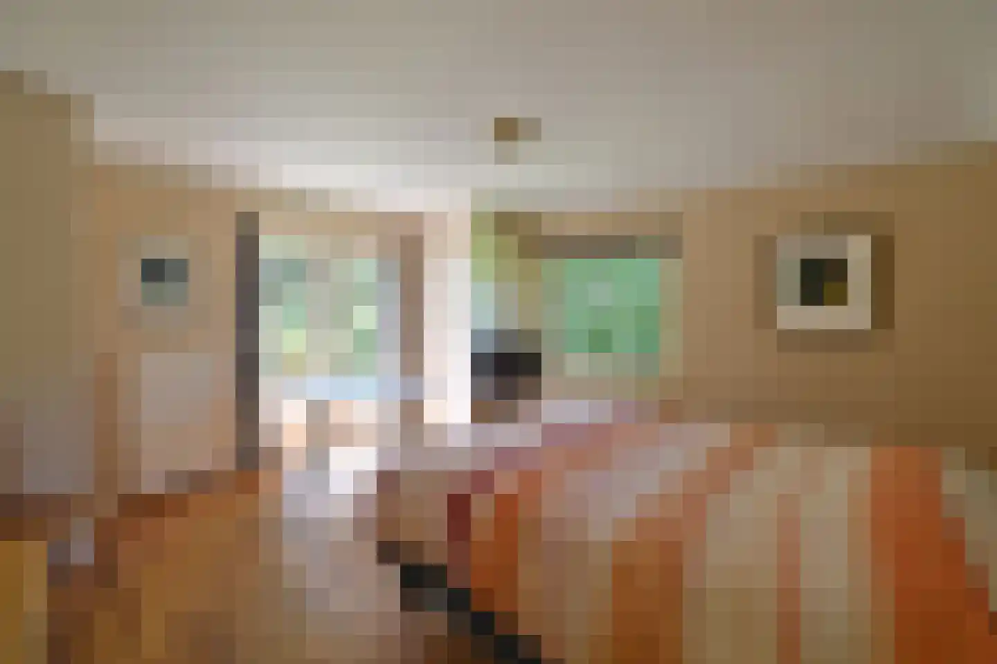 Herdersweg 13 a Laren thumbnail 10