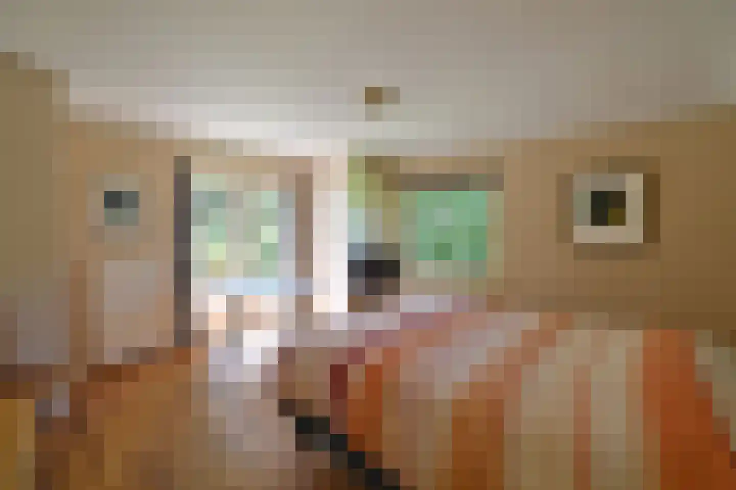 Herdersweg 13 a Laren thumbnail 11