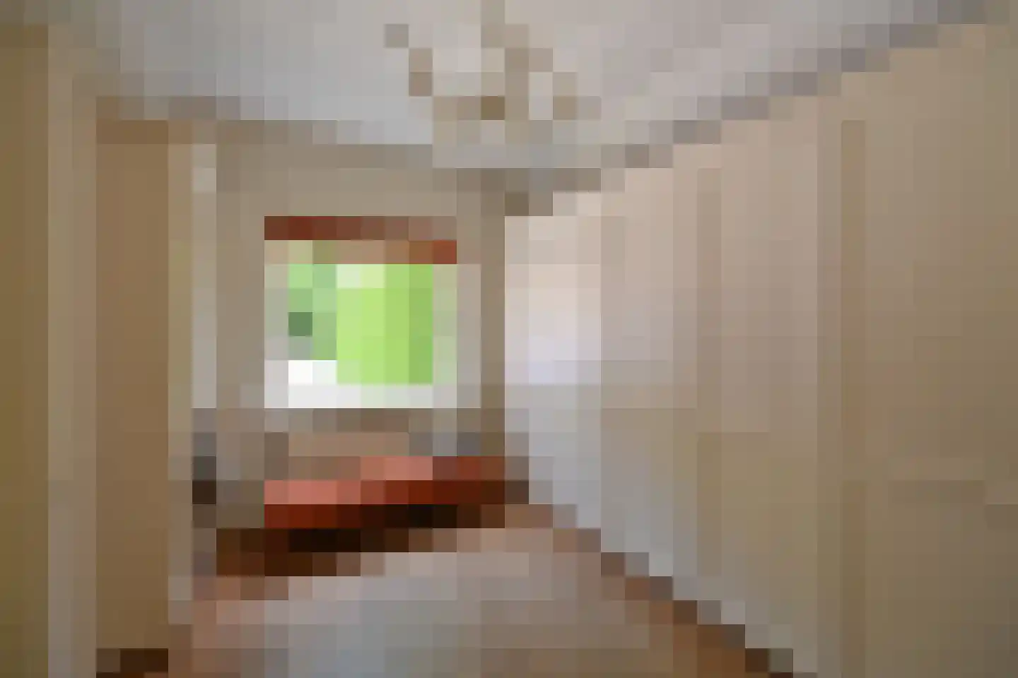 Herdersweg 13 a Laren thumbnail 12