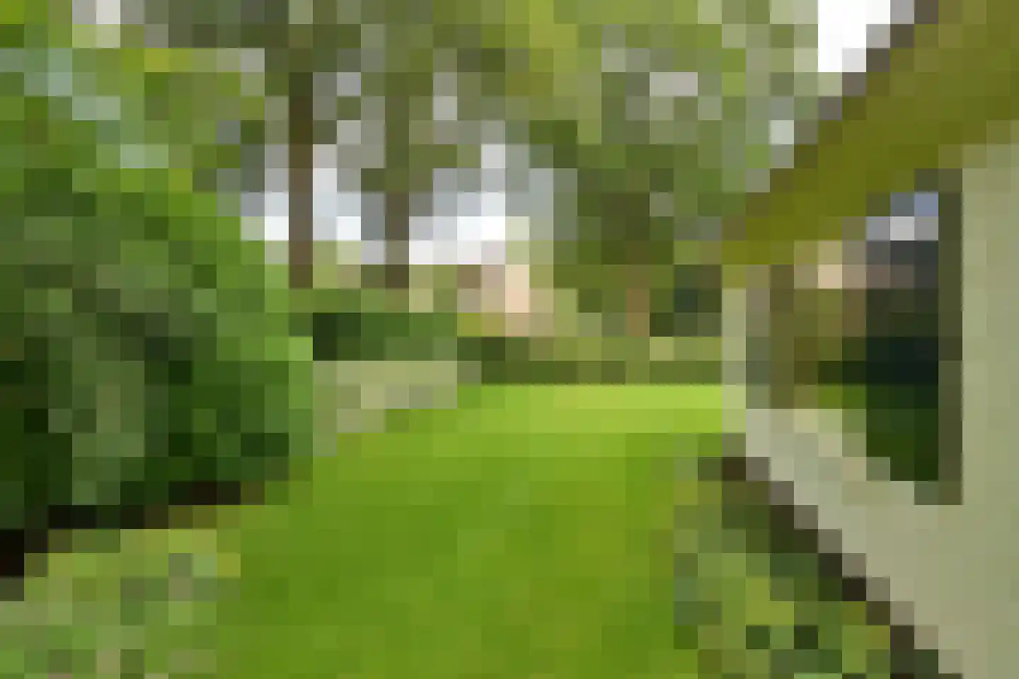 Herdersweg 13 a Laren thumbnail 14