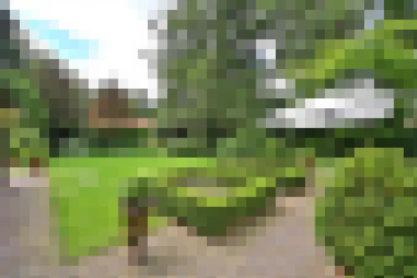 Herdersweg 13 a Laren thumbnail 16