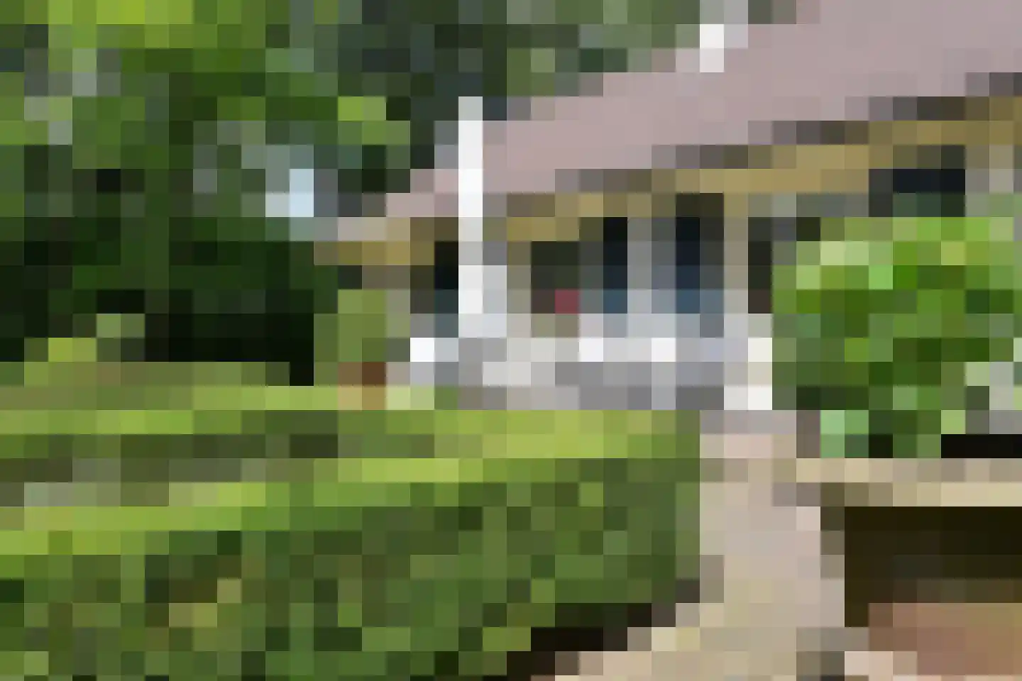 Herdersweg 13 a Laren thumbnail 20