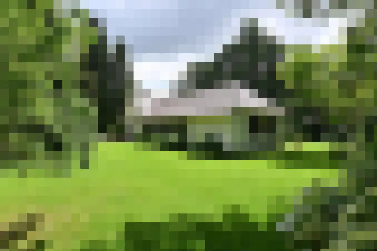 Herdersweg 13 a Laren thumbnail 4