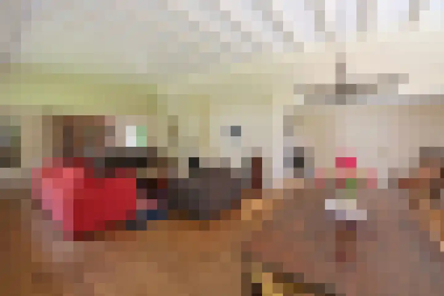 Herdersweg 13 a Laren thumbnail 6