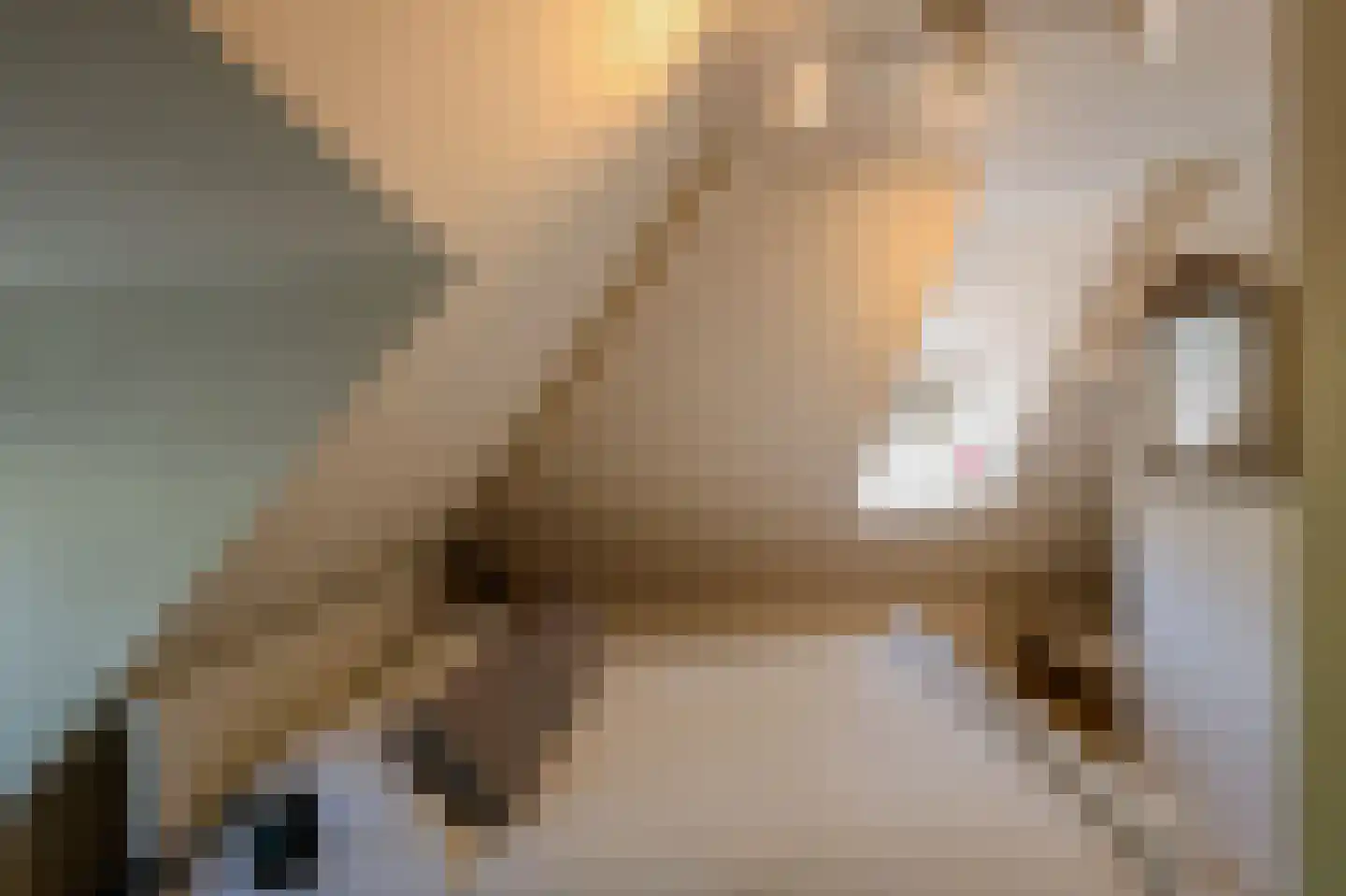 Herdersweg 19 Laren thumbnail 29