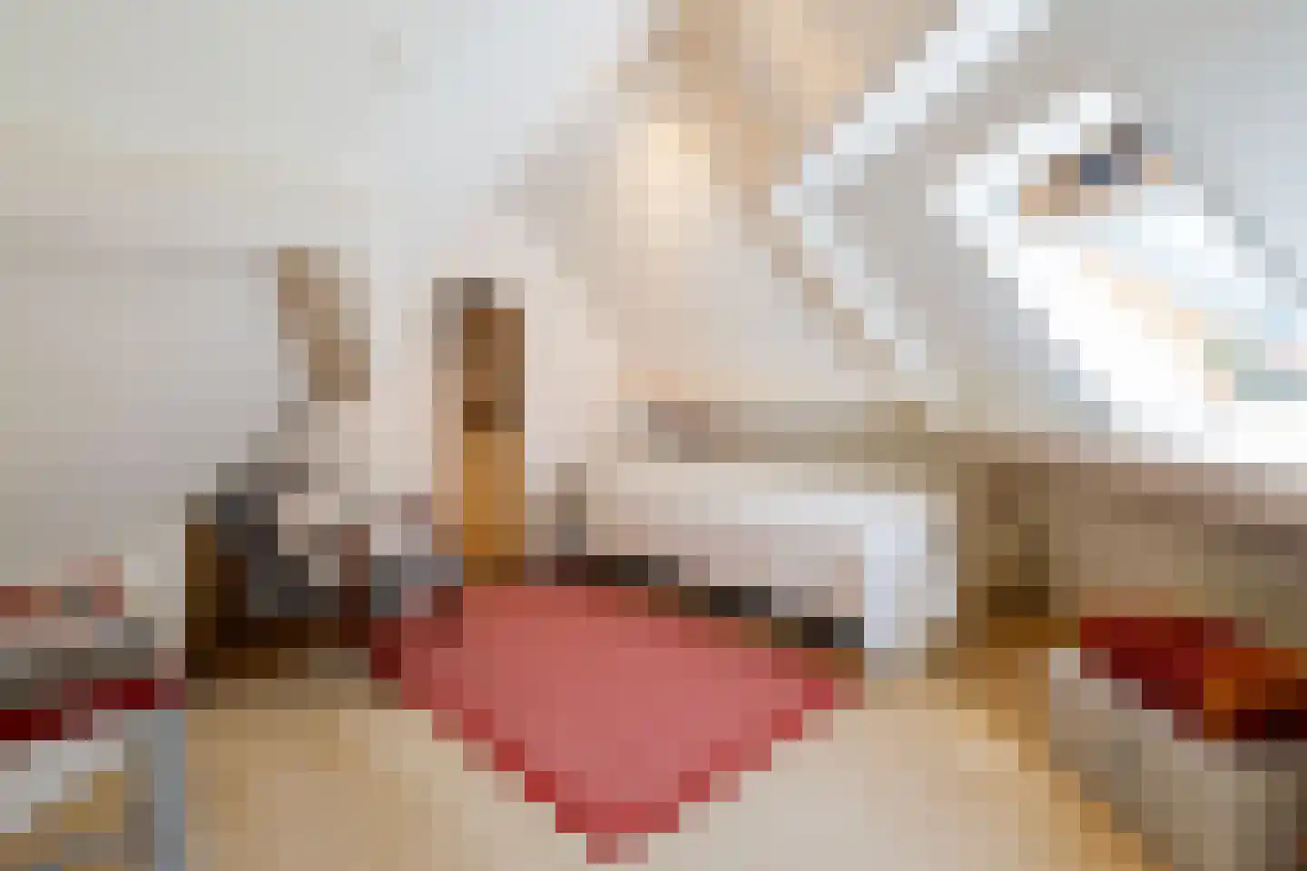 Herdersweg 19 Laren thumbnail 34