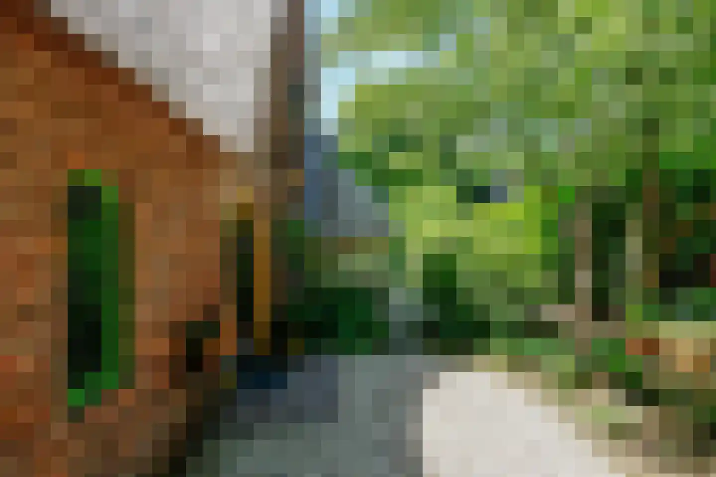 Herdersweg 19 Laren thumbnail 39