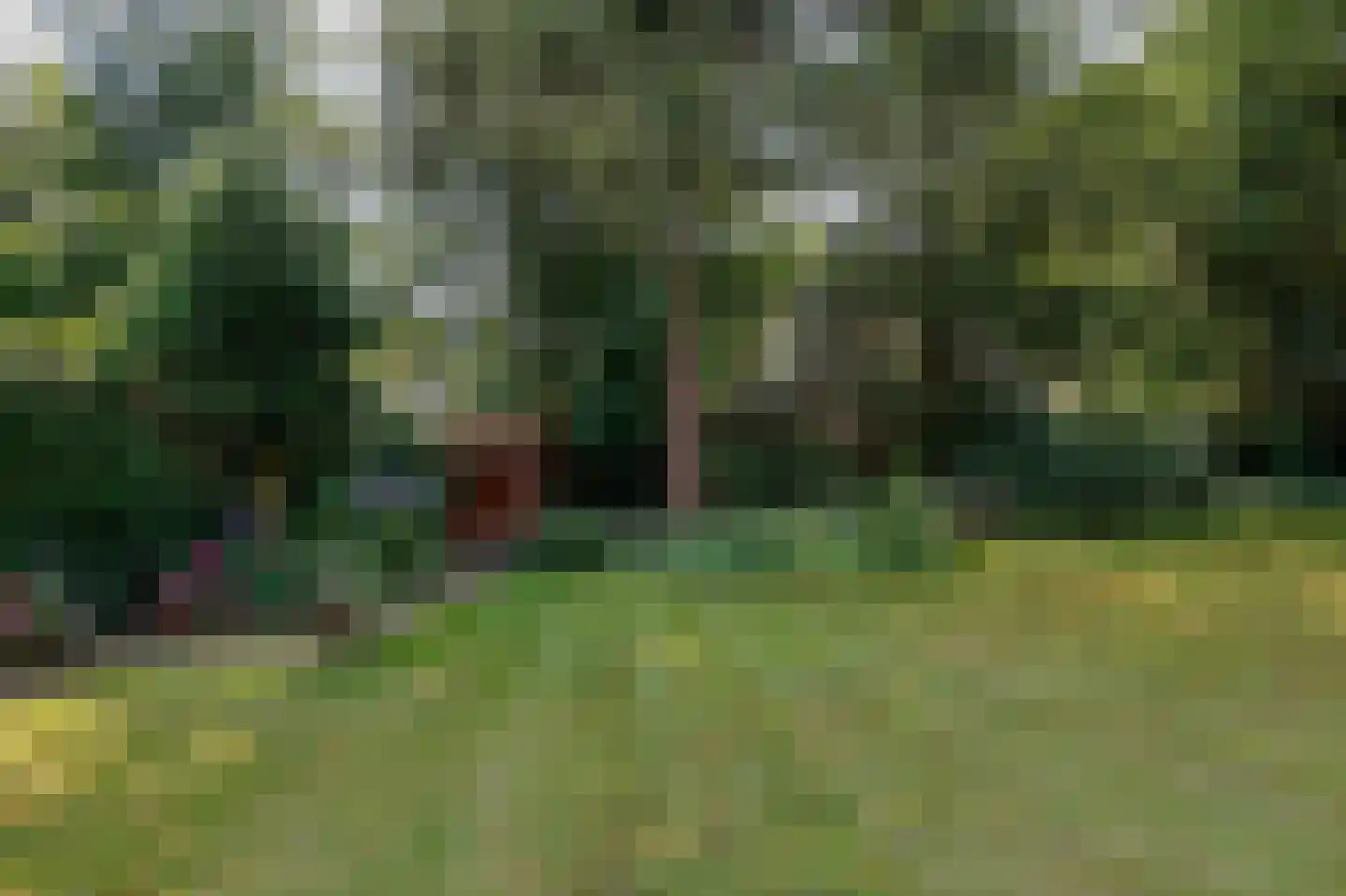 Herdersweg 19 Laren thumbnail 4
