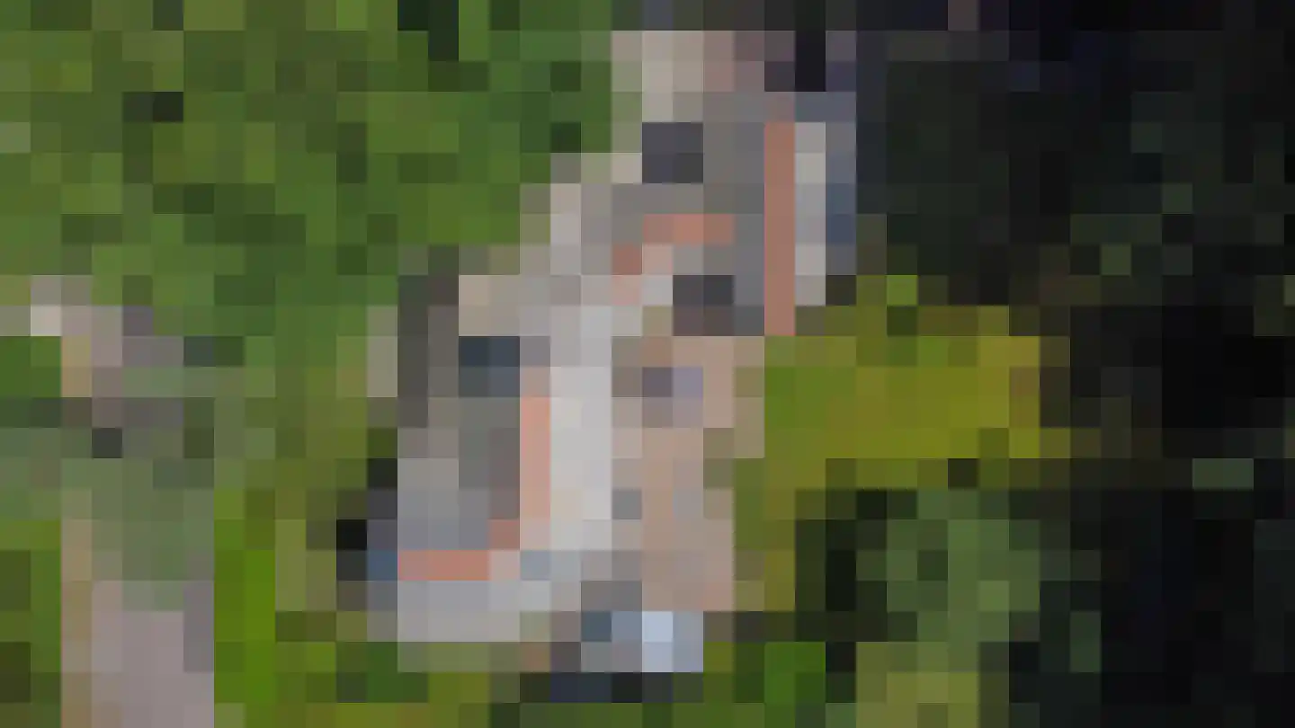 Herdersweg 19 Laren thumbnail 43