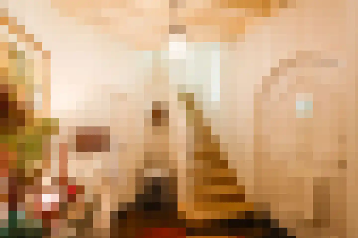 Herdersweg 19 Laren thumbnail 6