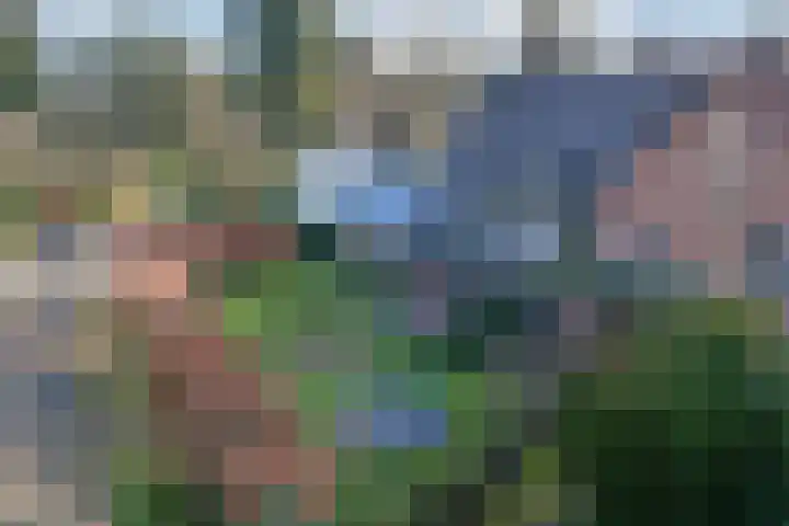 Herdersweg 21 Huizen thumbnail 36