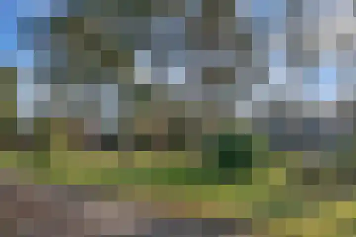 Herdersweg 21 Huizen thumbnail 38