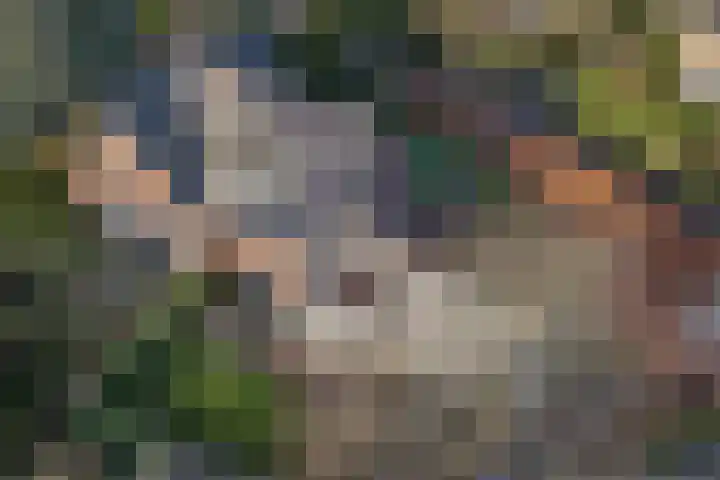 Herdersweg 21 Huizen thumbnail 39