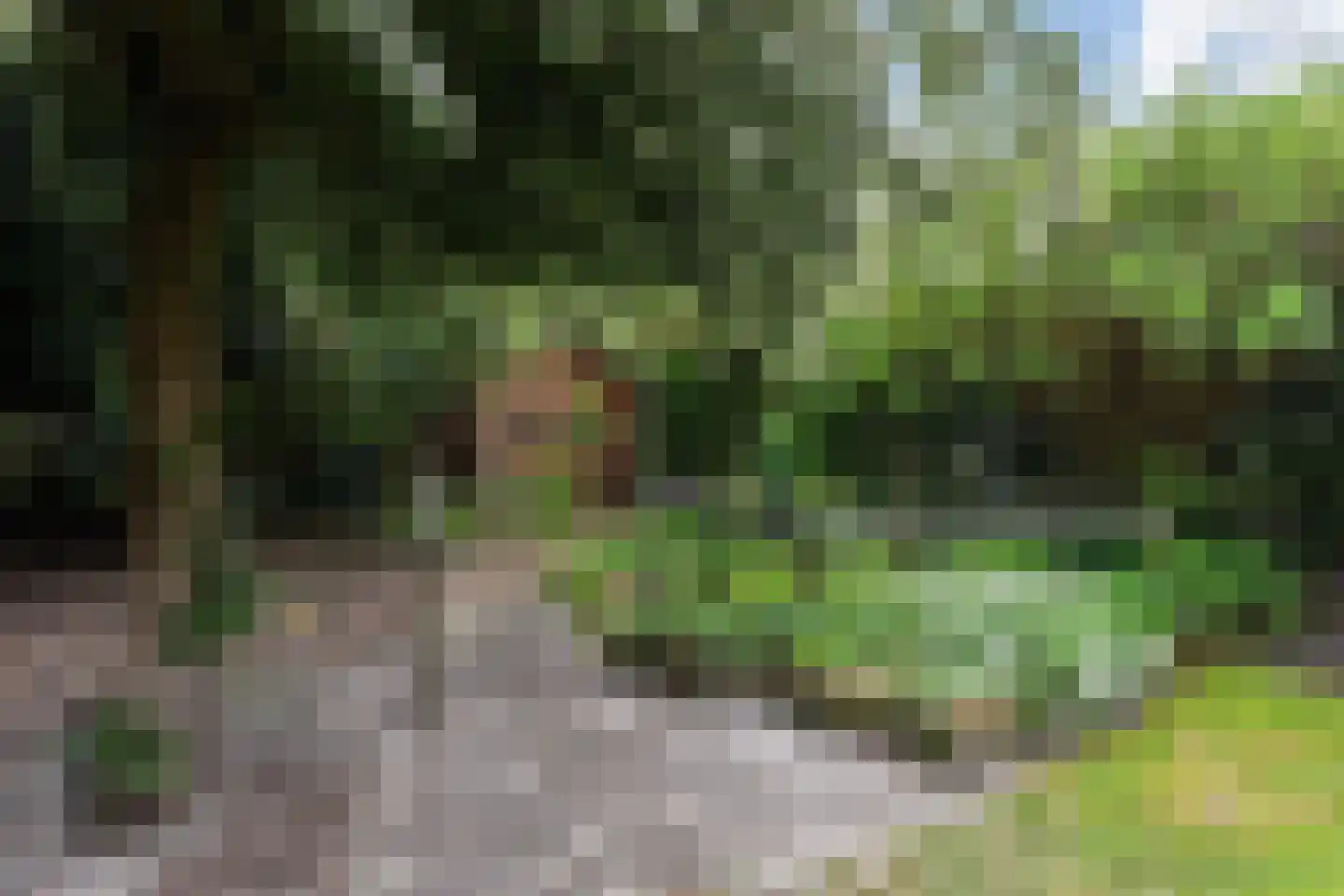Herderweg 10 Apeldoorn thumbnail 24