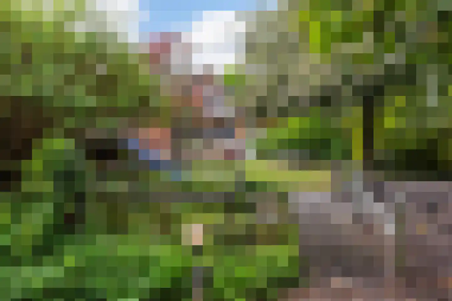 Herderweg 10 Apeldoorn thumbnail 25