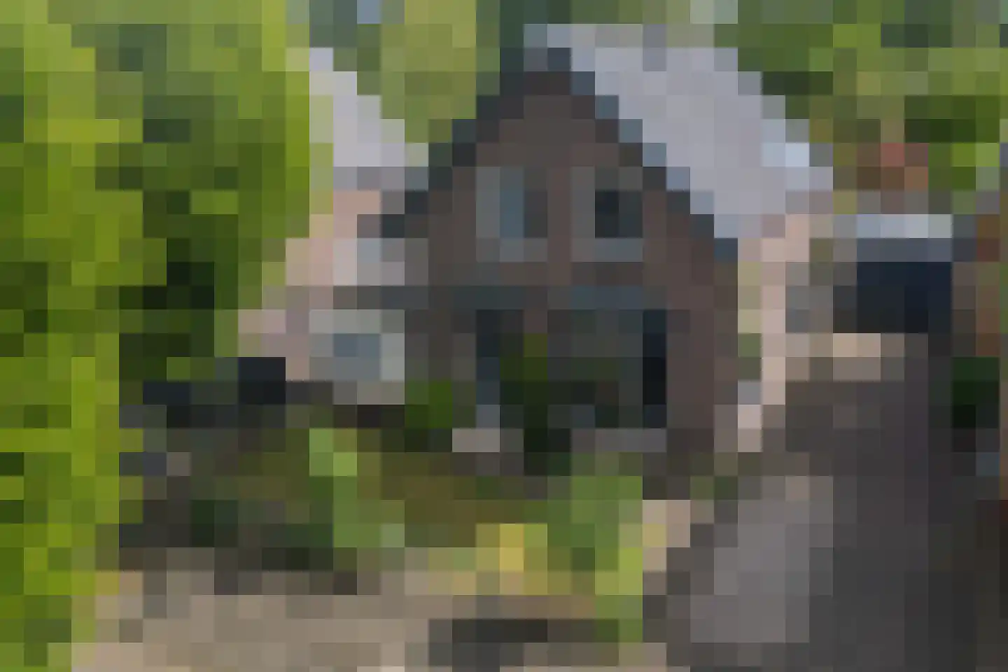 Herderweg 10 Apeldoorn thumbnail 32