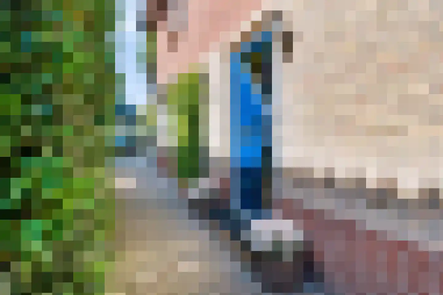 Herderweg 8 Apeldoorn thumbnail 12