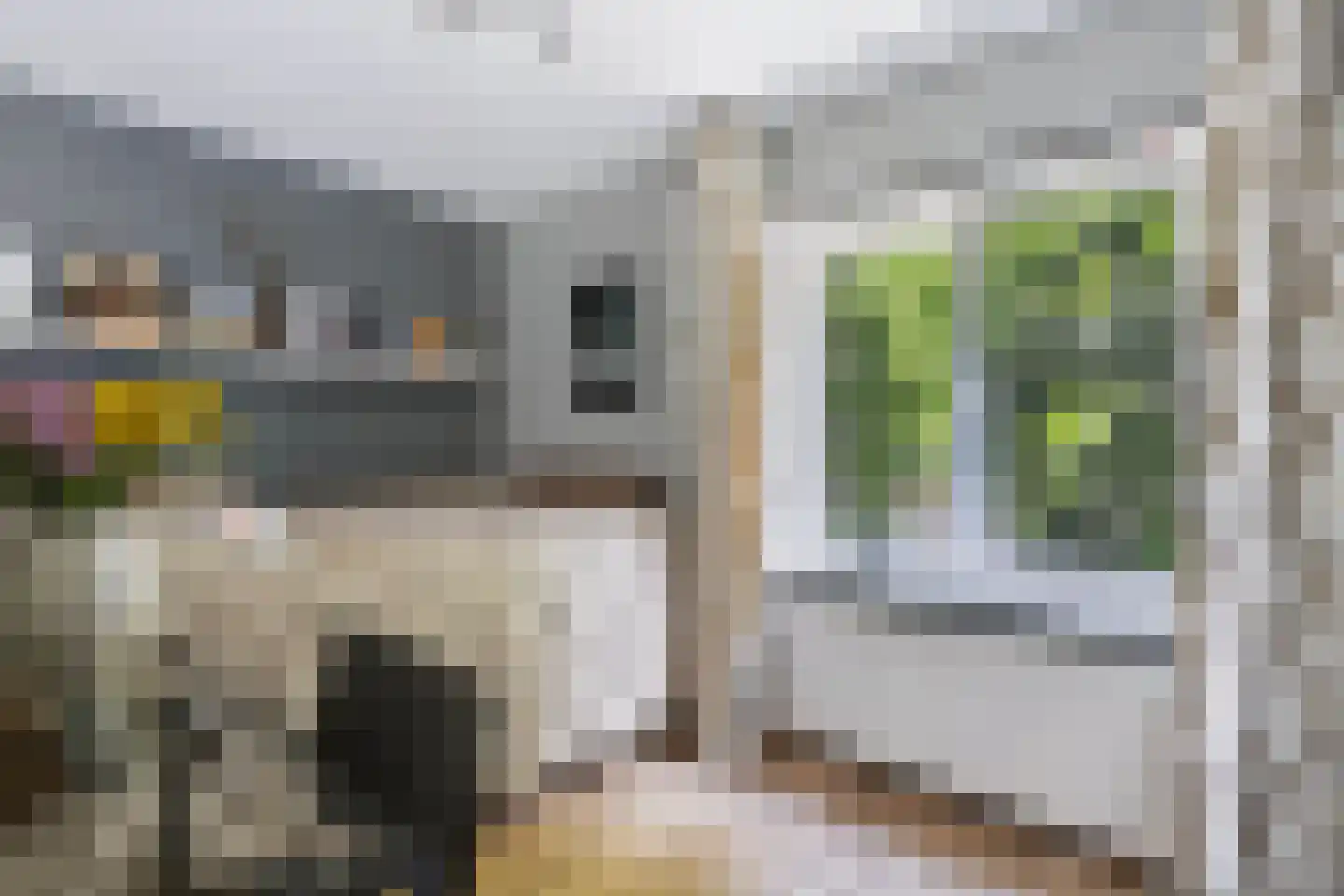 Herderweg 8 Apeldoorn thumbnail 23