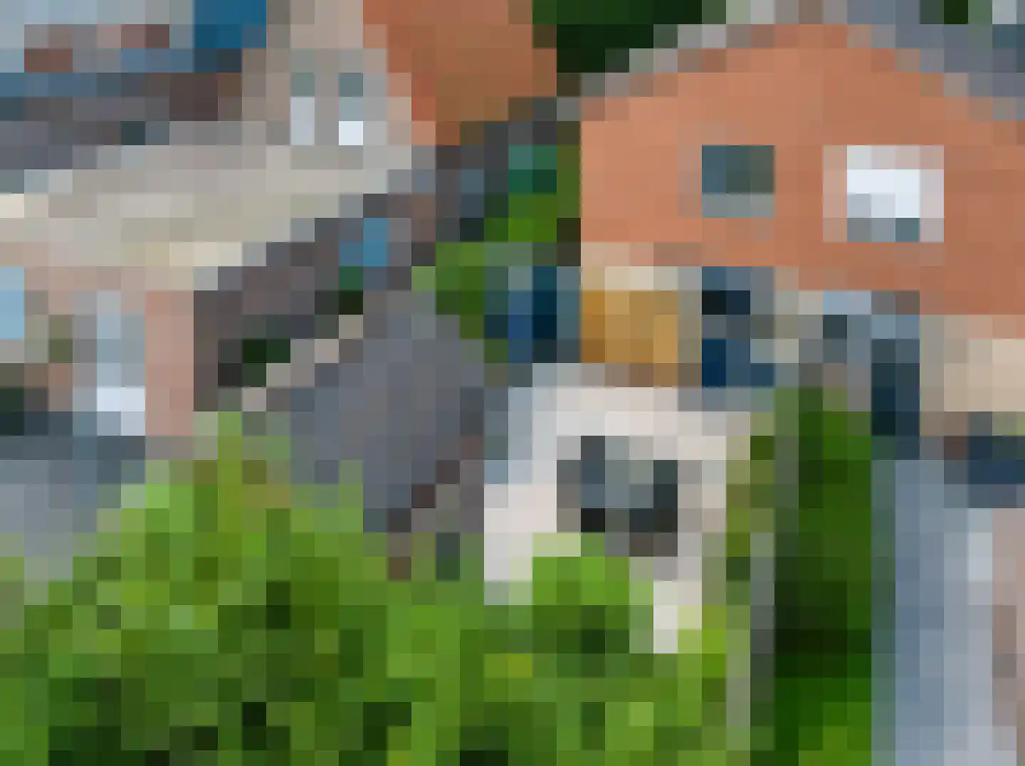 Herderweg 8 Apeldoorn thumbnail 4