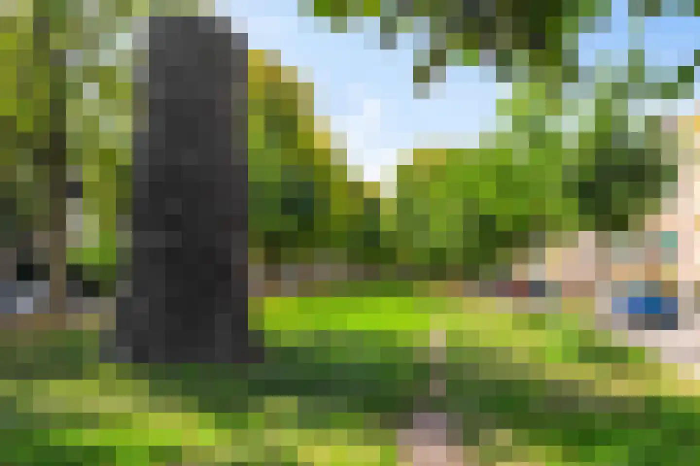 Herebinnensingel 17 a Groningen thumbnail 28