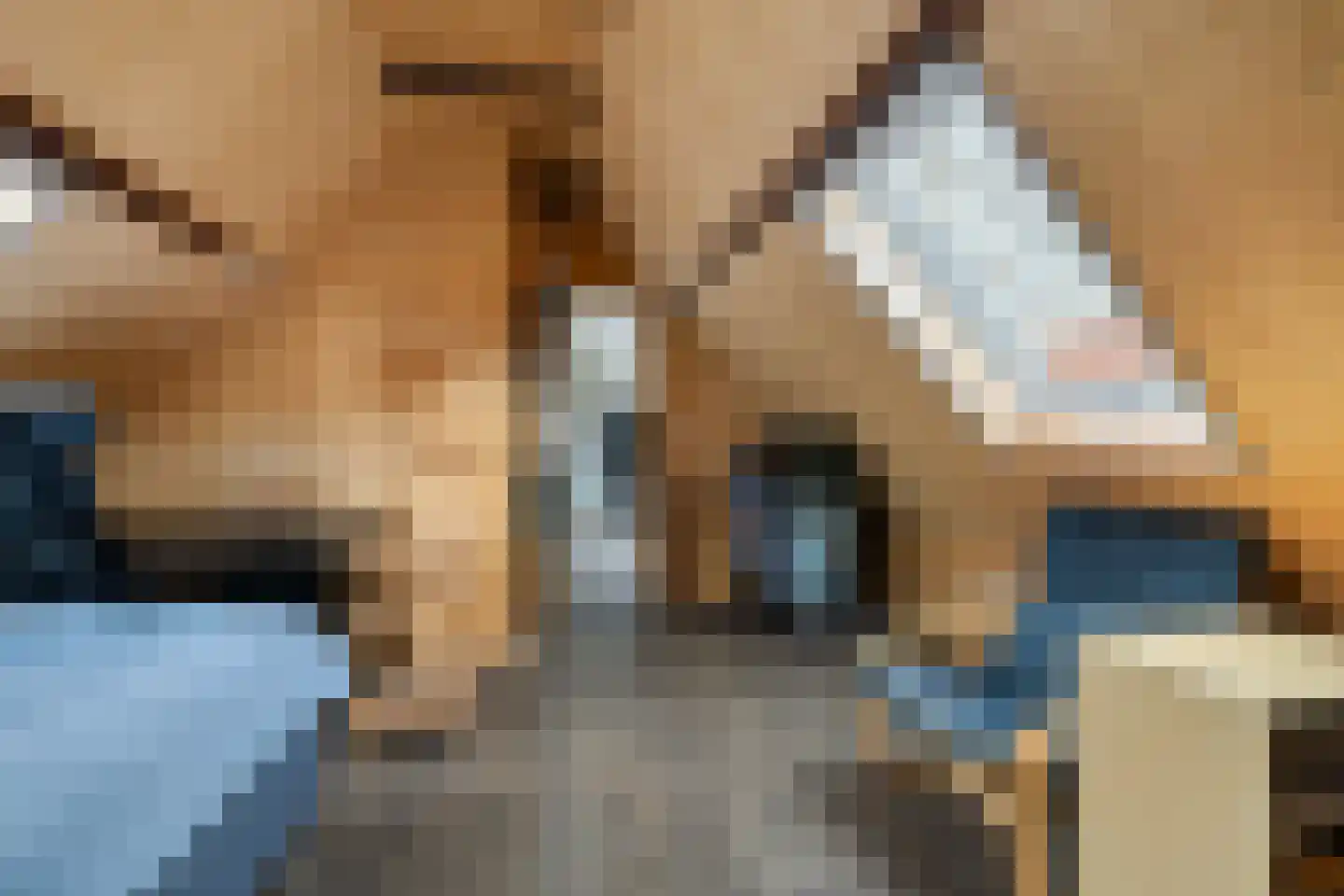 Herebinnensingel 3 a Groningen thumbnail 30