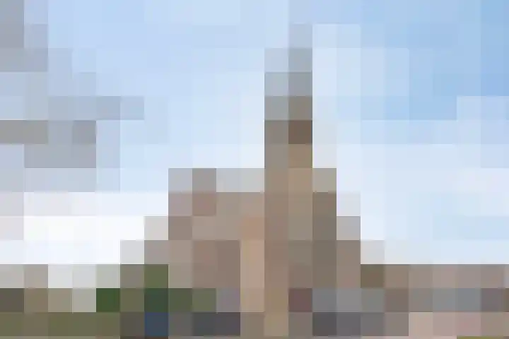 Herelsestraat 130 Heerle thumbnail 34