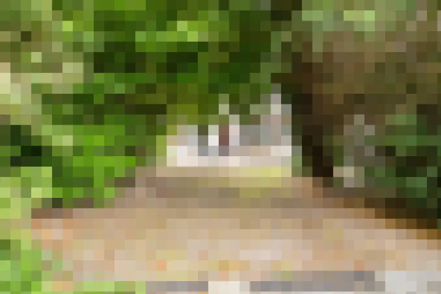 Herelsestraat 134 Heerle thumbnail 39