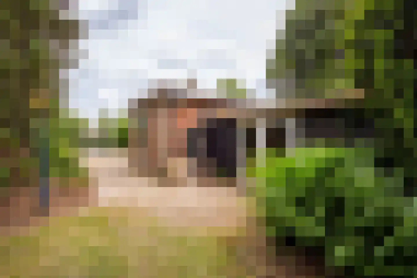 Herelsestraat 141 Heerle thumbnail 10