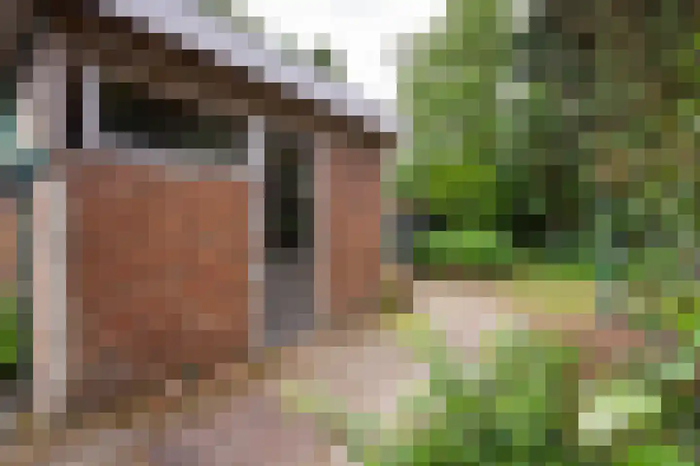 Herelsestraat 141 Heerle thumbnail 11