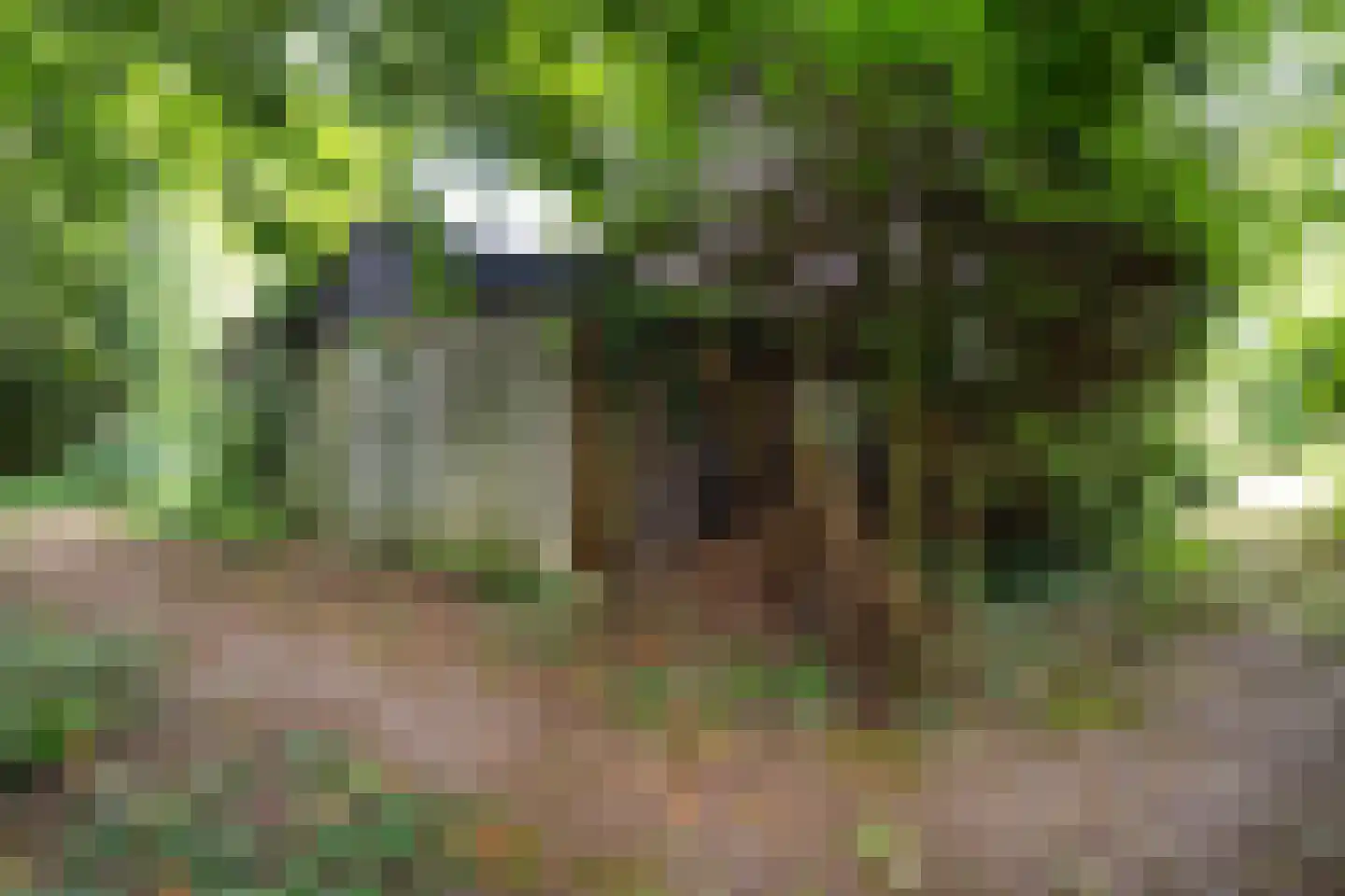 Herelsestraat 141 Heerle thumbnail 13