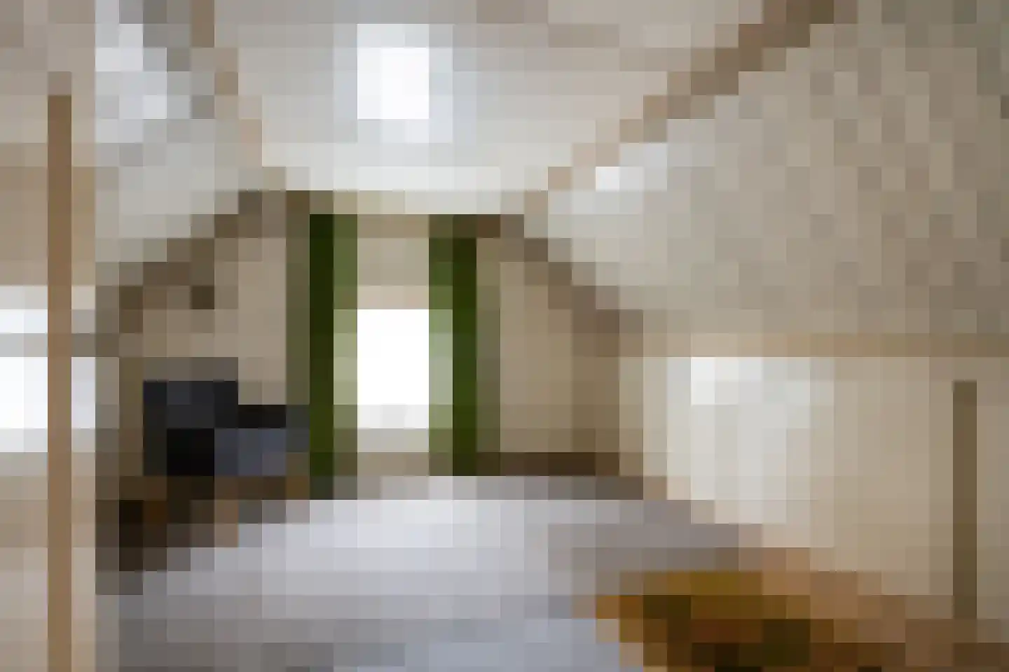 Herelsestraat 141 Heerle thumbnail 30
