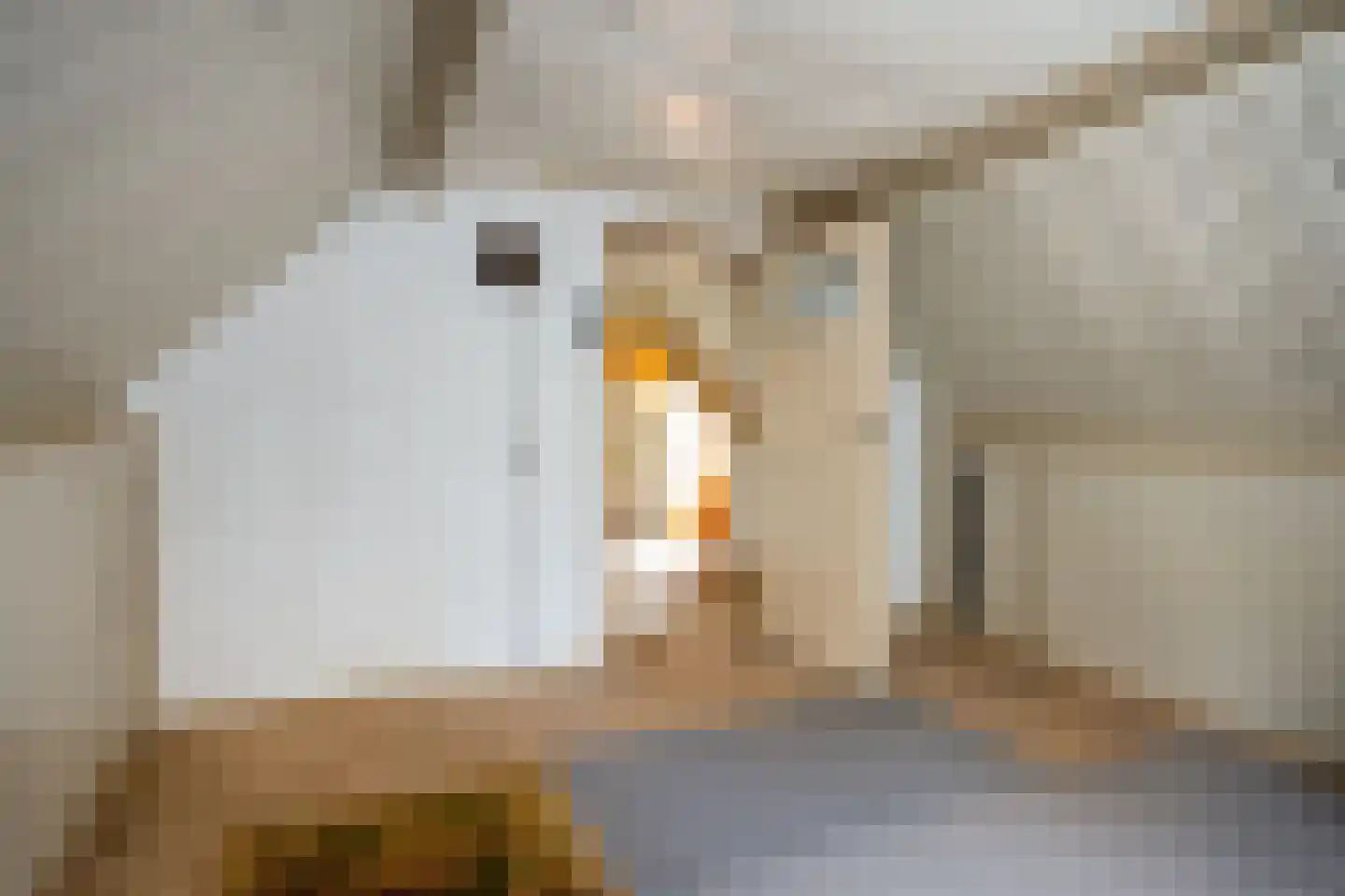 Herelsestraat 141 Heerle thumbnail 31