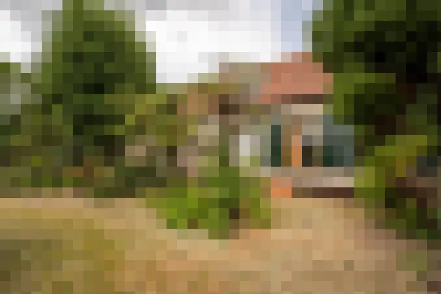Herelsestraat 141 Heerle thumbnail 5