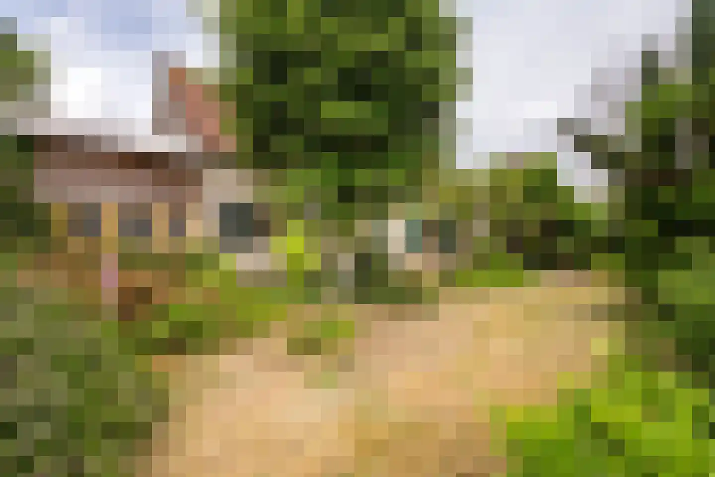 Herelsestraat 141 Heerle thumbnail 6