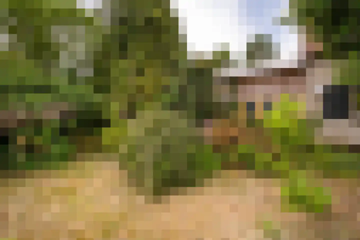 Herelsestraat 141 Heerle thumbnail 7