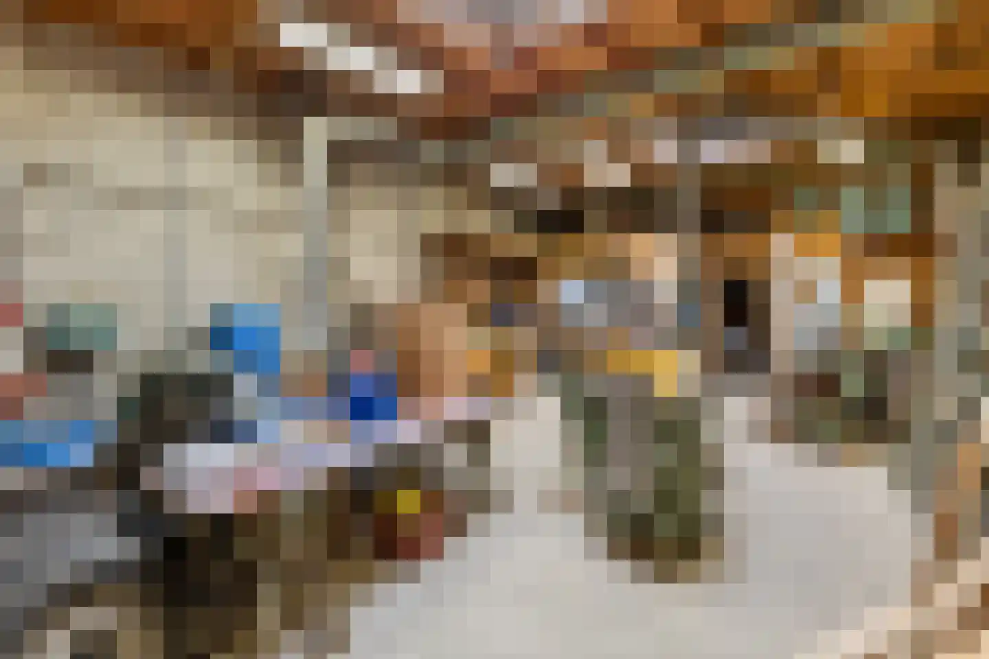 Herelsestraat 175 Heerle thumbnail 20