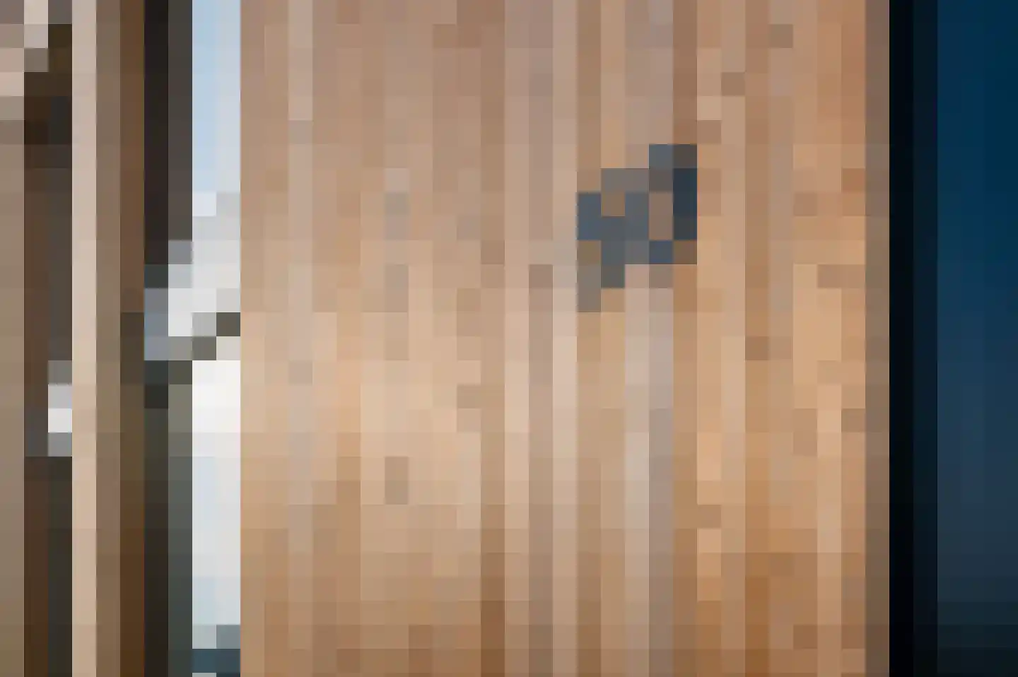 Herenakker 50 Veghel thumbnail 10