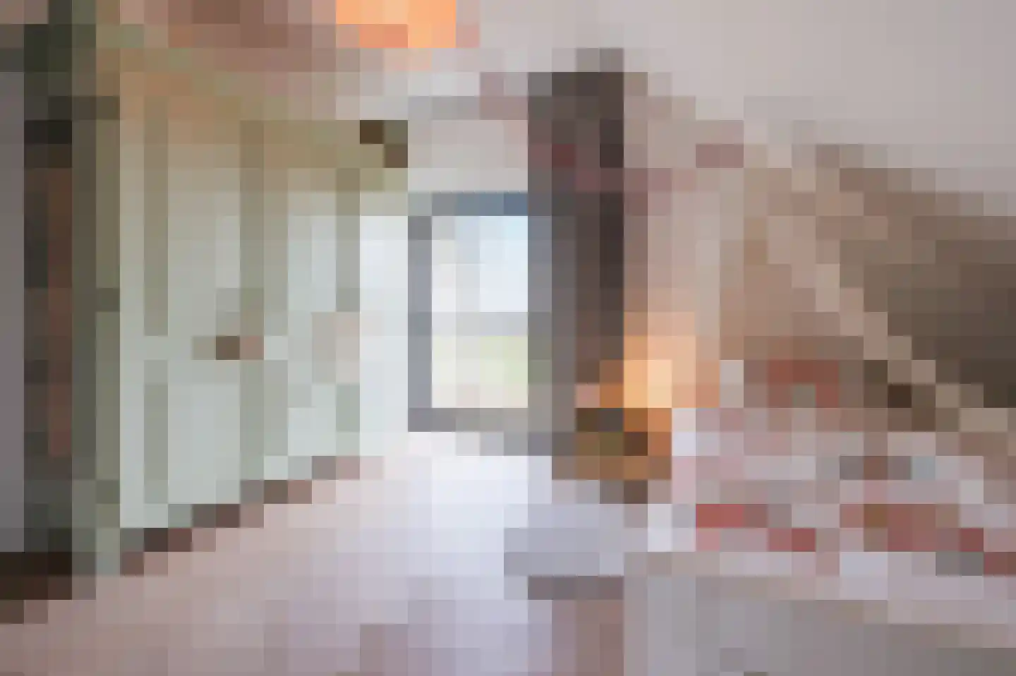 Herenakker 50 Veghel thumbnail 47
