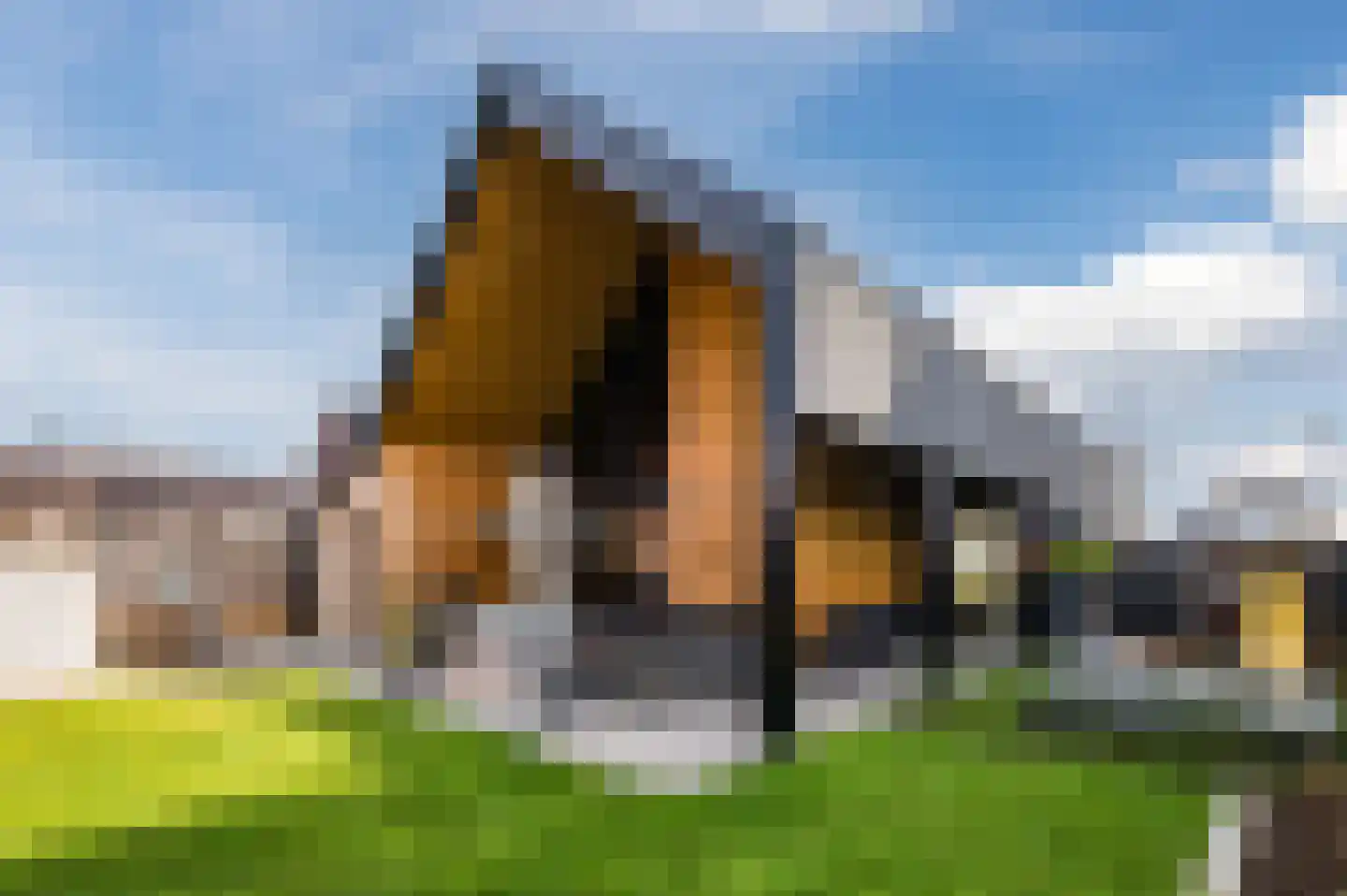 Herenakker 50 Veghel thumbnail 59