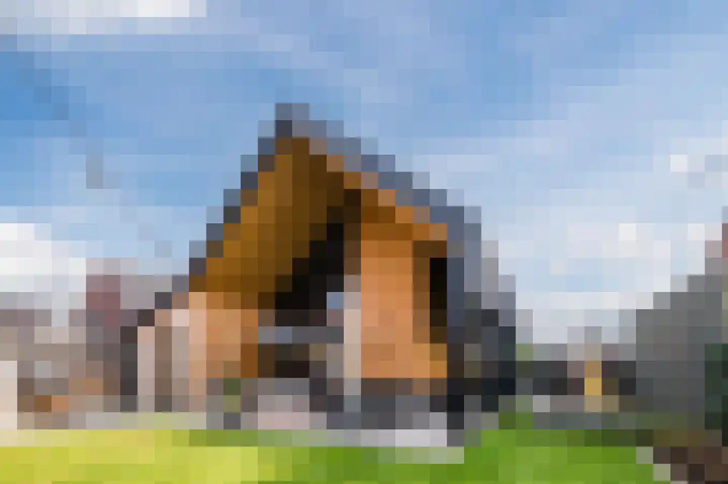 Herenakker 50 Veghel thumbnail 63